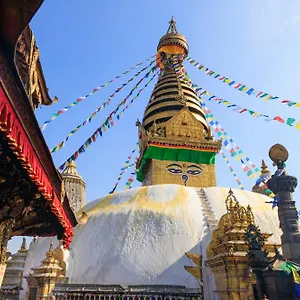 Apartment House Of Forrest, Service, Kathmandu